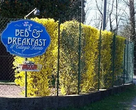 Bed & Breakfast Il Ciliegio Fiorito 2*