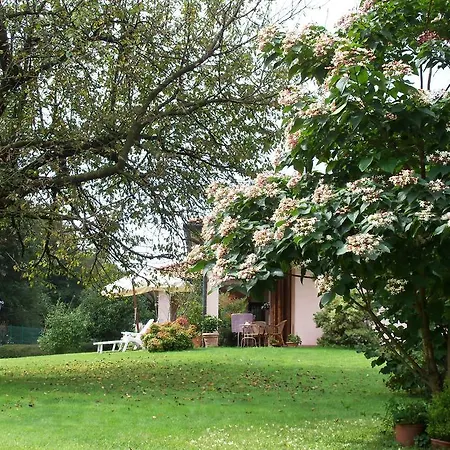 Bed & Breakfast Il Ciliegio Fiorito 2*