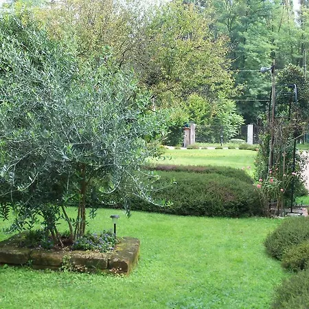 Bed & Breakfast Il Ciliegio Fiorito Somma Lombardo