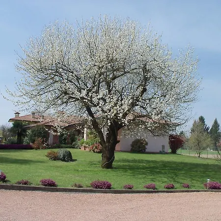 Bed & Breakfast Il Ciliegio Fiorito 2*