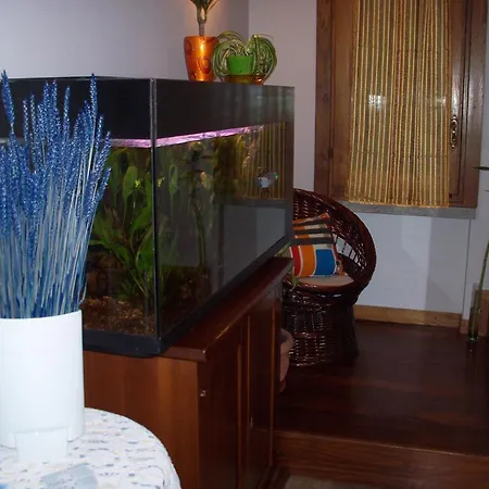 Bed & Breakfast Il Ciliegio Fiorito 2*