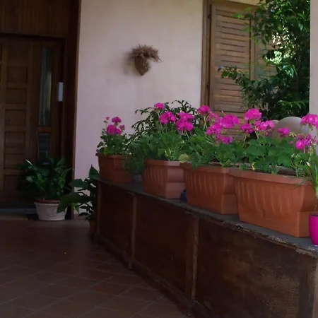 Bed & Breakfast Il Ciliegio Fiorito