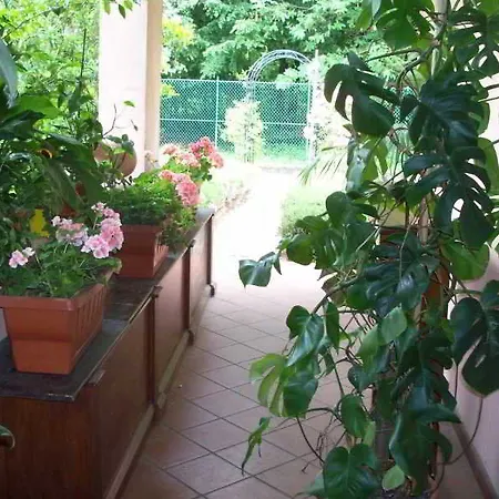 Il Ciliegio Fiorito Bed & Breakfast 2*