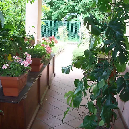 Il Ciliegio Fiorito Somma Lombardo