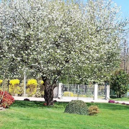 Bed & Breakfast Il Ciliegio Fiorito